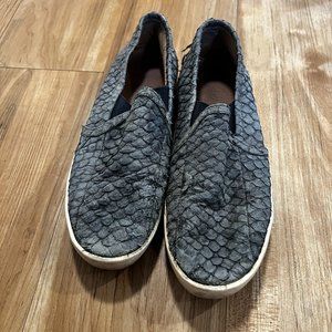 Navy Blue Woman's Sneaker Van Style Size 6 1/2